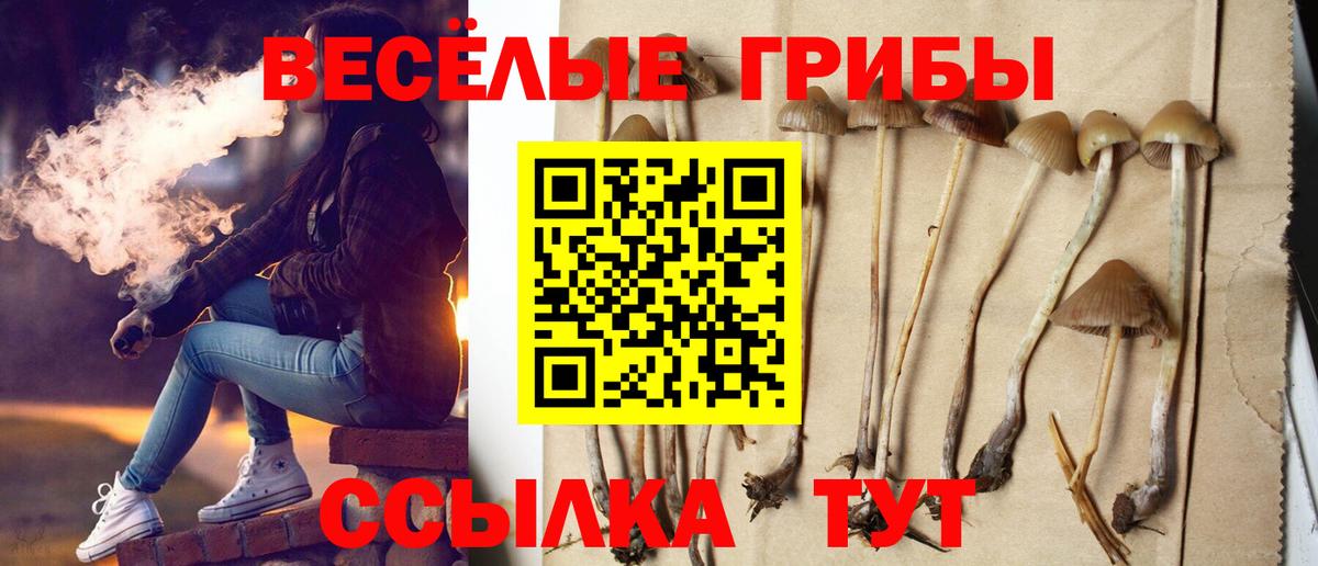 Александров  Галлюциногенные грибы GOLDEN TEACHER  Вход с VPN  Галлюциногенные грибы Psilocybe 